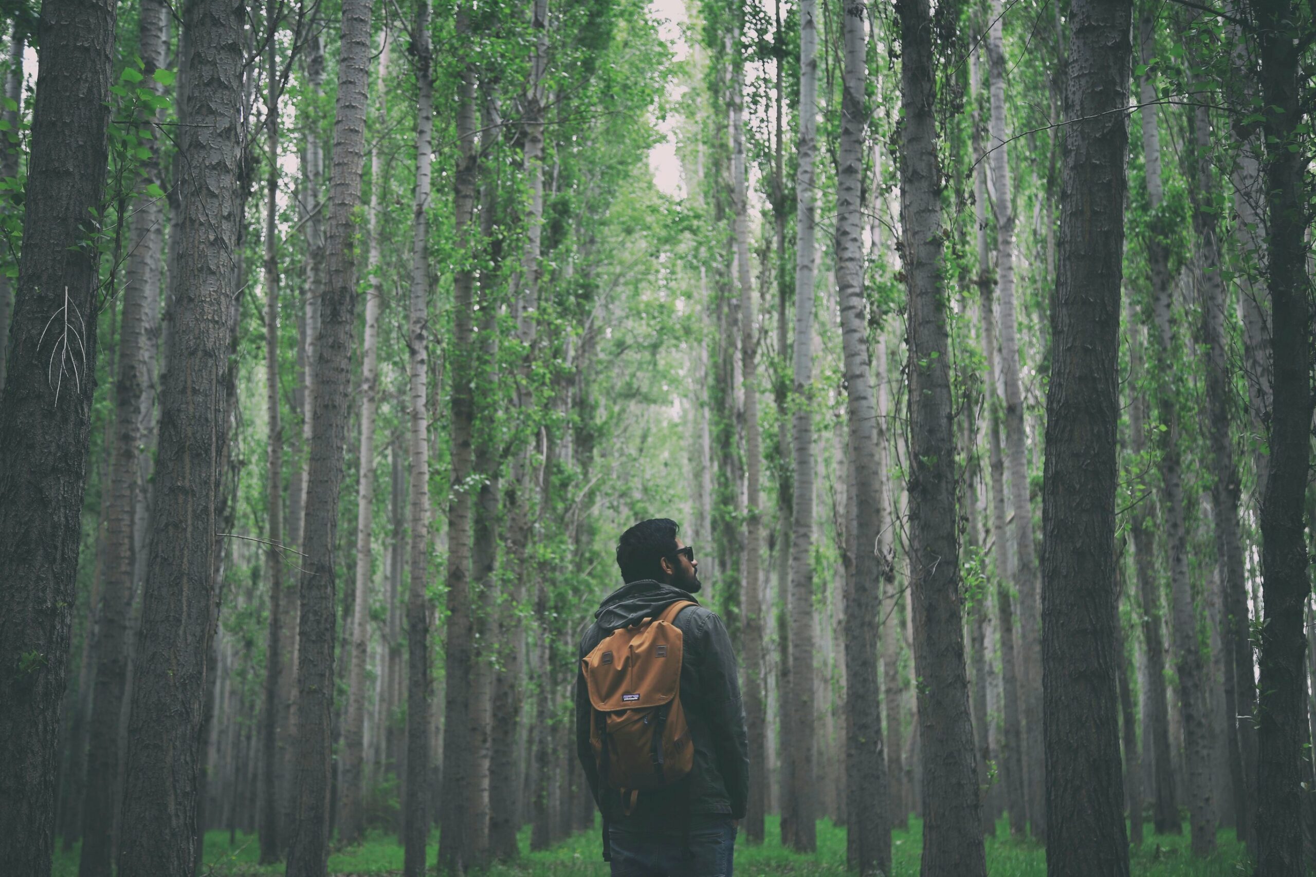 Un homme barbu dans une forêt, métaphore de l'anxiété se changeant en sac à dos tactique par l'hypnose